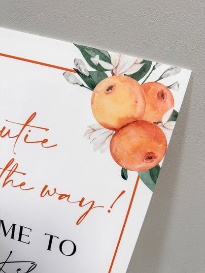 A Little Cutie Is On The Way Welcome Sign